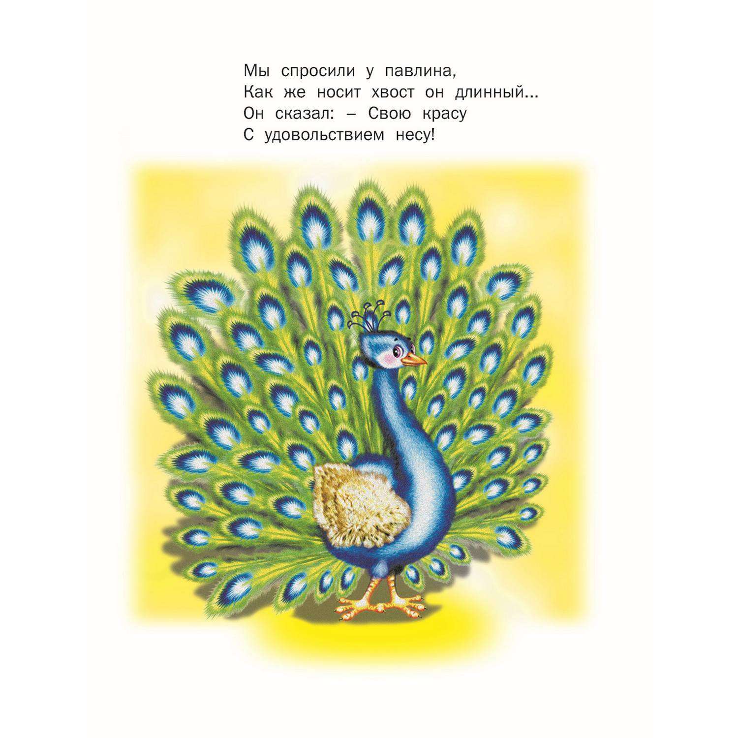 Набор книг Русич стихи сказки и загадки для малышей 6 шт - фото 10