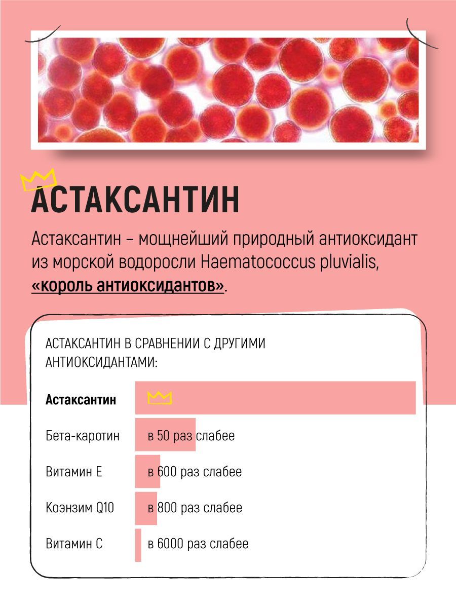 Масло дикого лосося Вивидус (VIVIDUS) с астаксантином 0,5 л. - фото 2