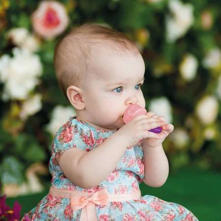Ниблер SEVIBEBE