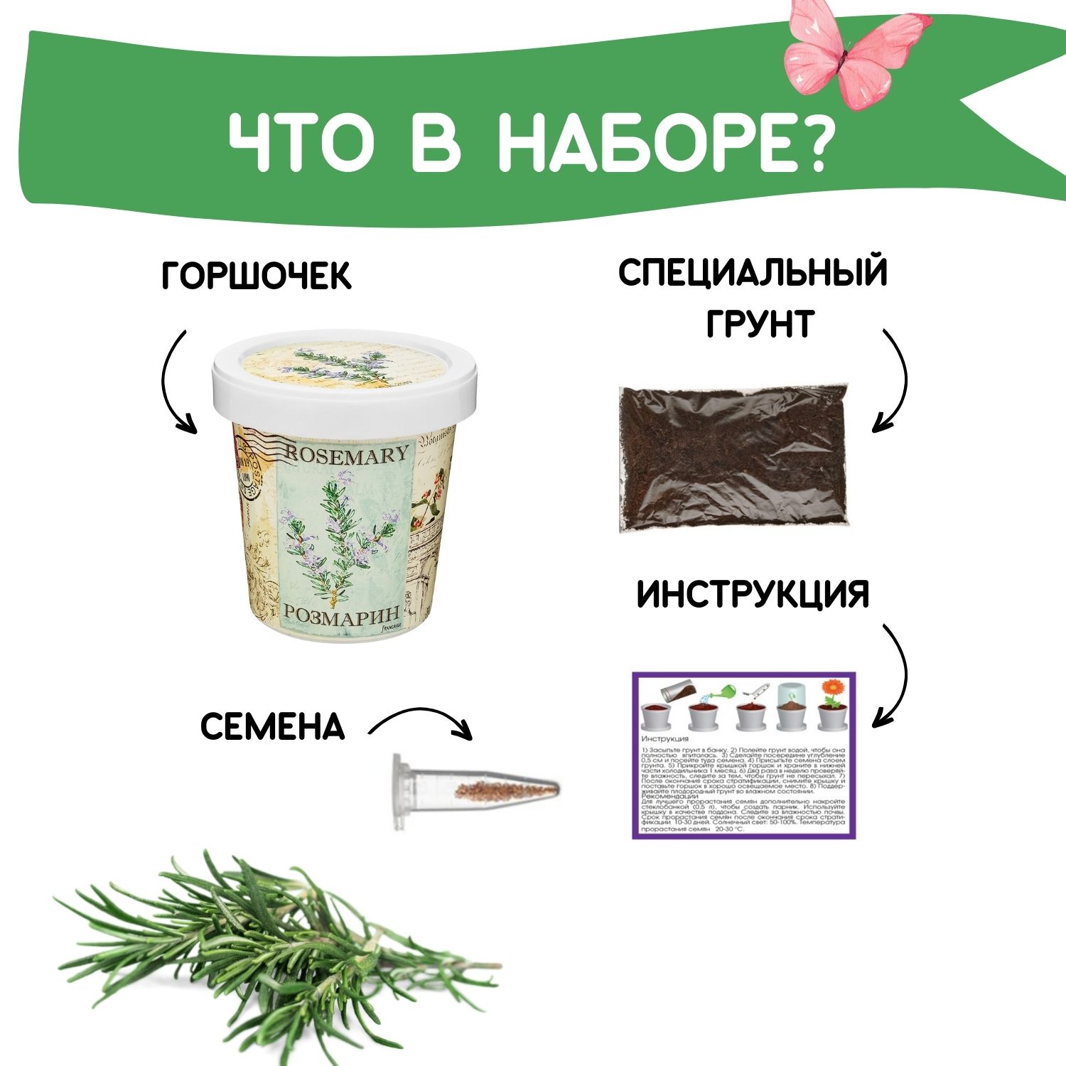 Набор для выращивания растений Rostok Visa Вырасти сам Розмарин в подарочном горшке - фото 3