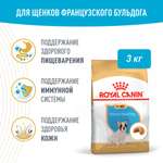 Сухой корм для собак ROYAL CANIN 3 кг птица (полнорационный)