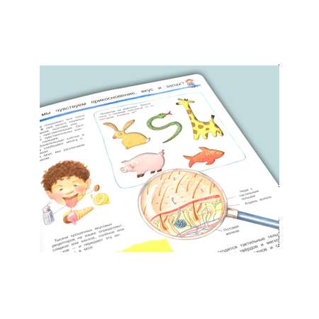 Книга Омега-Пресс Энциклопедия для детей с окошками Что? Почему? Зачем? Изучаем наше тело