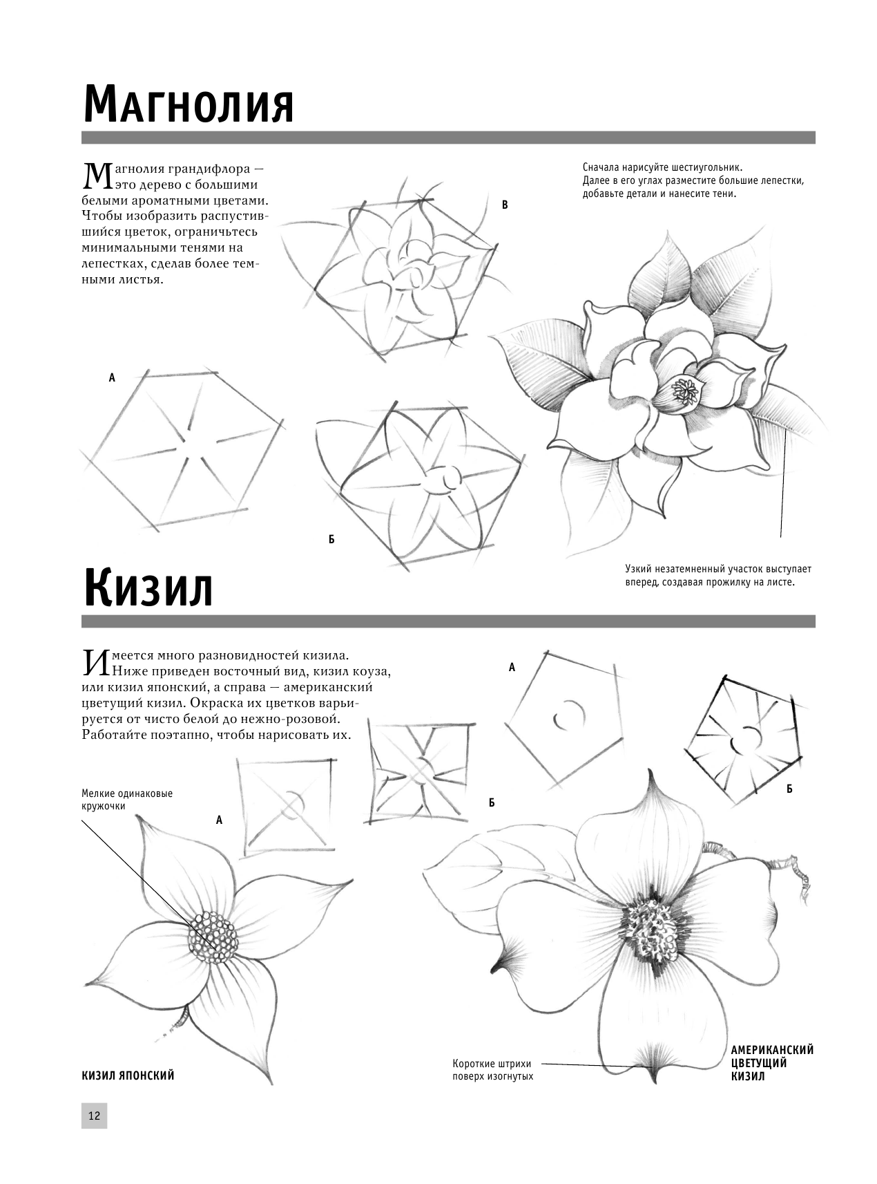 Книга АСТ Полный курс рисования - фото 14