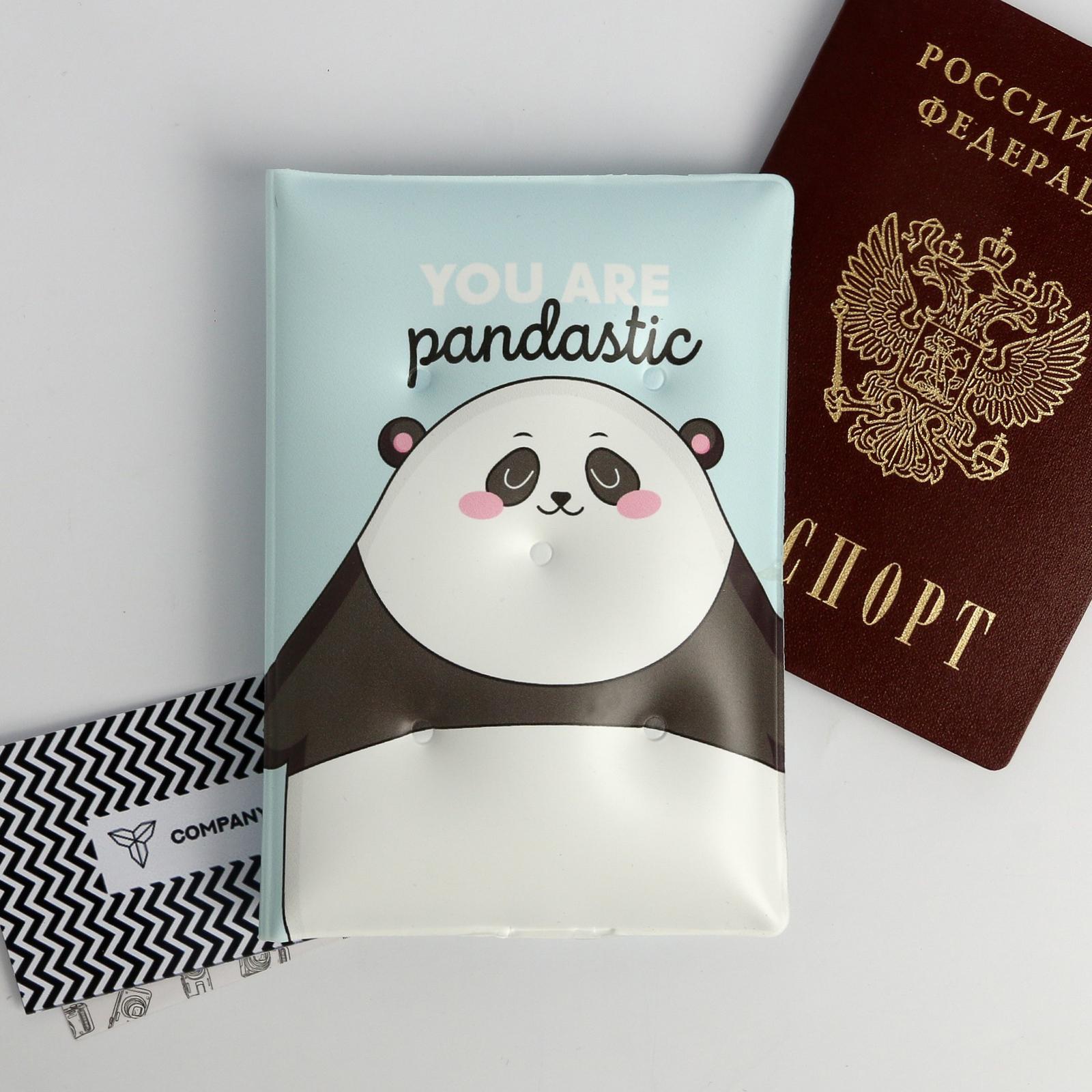 Набор ArtFox «Pandastic winter!». Паспортная обложка-облачко и ежедневник-облачко - фото 9