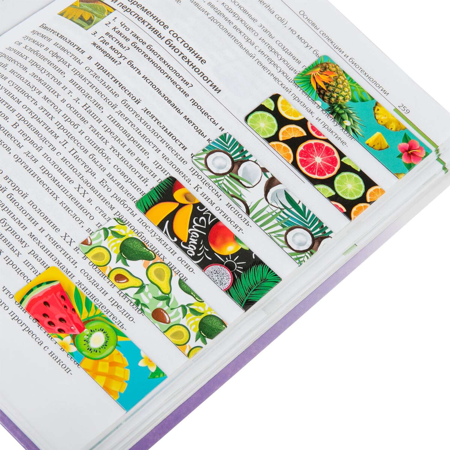Закладки канцелярские Brauberg магнитные для книг для учебников и тетрадей 12 шт - фото 11