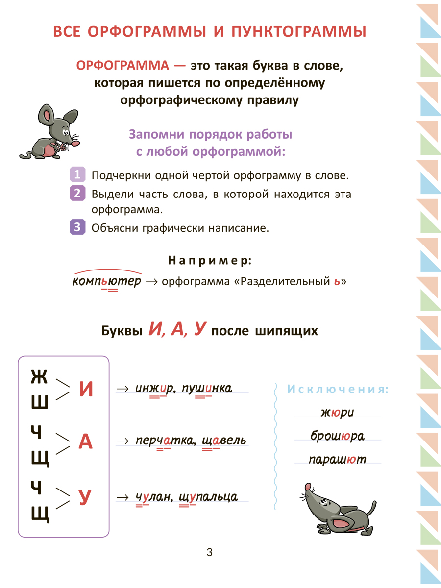 Книга ИД Литера Все изучаемые орфограммы и пунктограммы русского языка с 1  по 4 классы