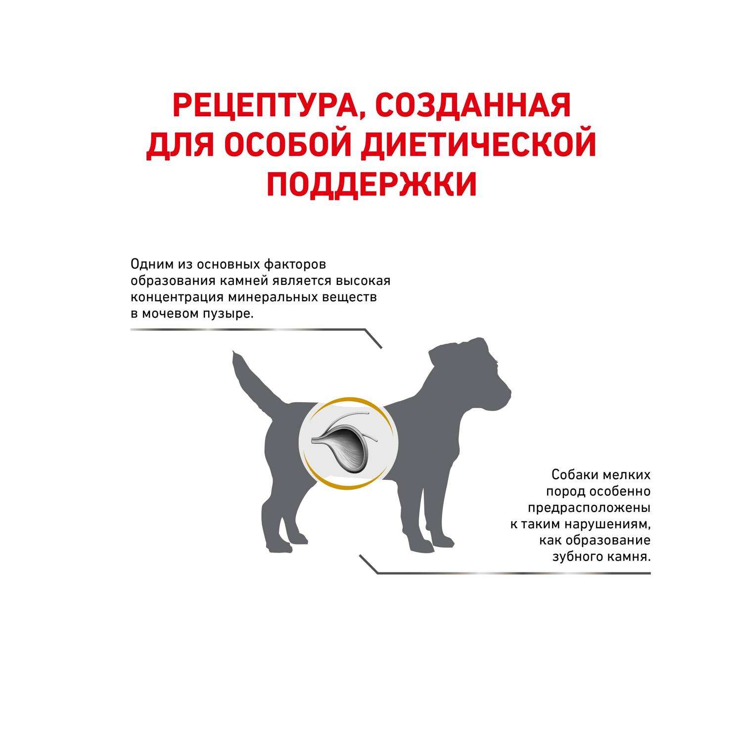 Корм для собак ROYAL CANIN Urinary S/O Small Doг USD 20 при мочекаменной болезни струвиты оксалаты маленьких пород 1.5кг - фото 3