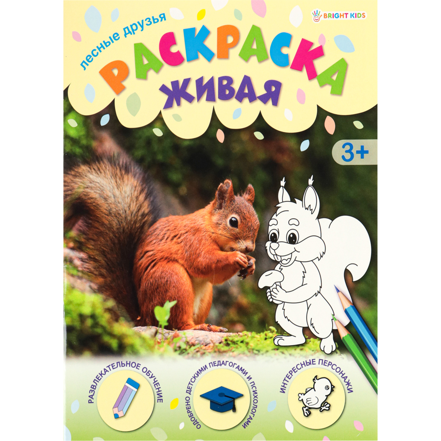 Раскраска А4 Bright Kids ЛЕСНЫЕ ДРУЗЬЯ 8 листов 198х260 - фото 1