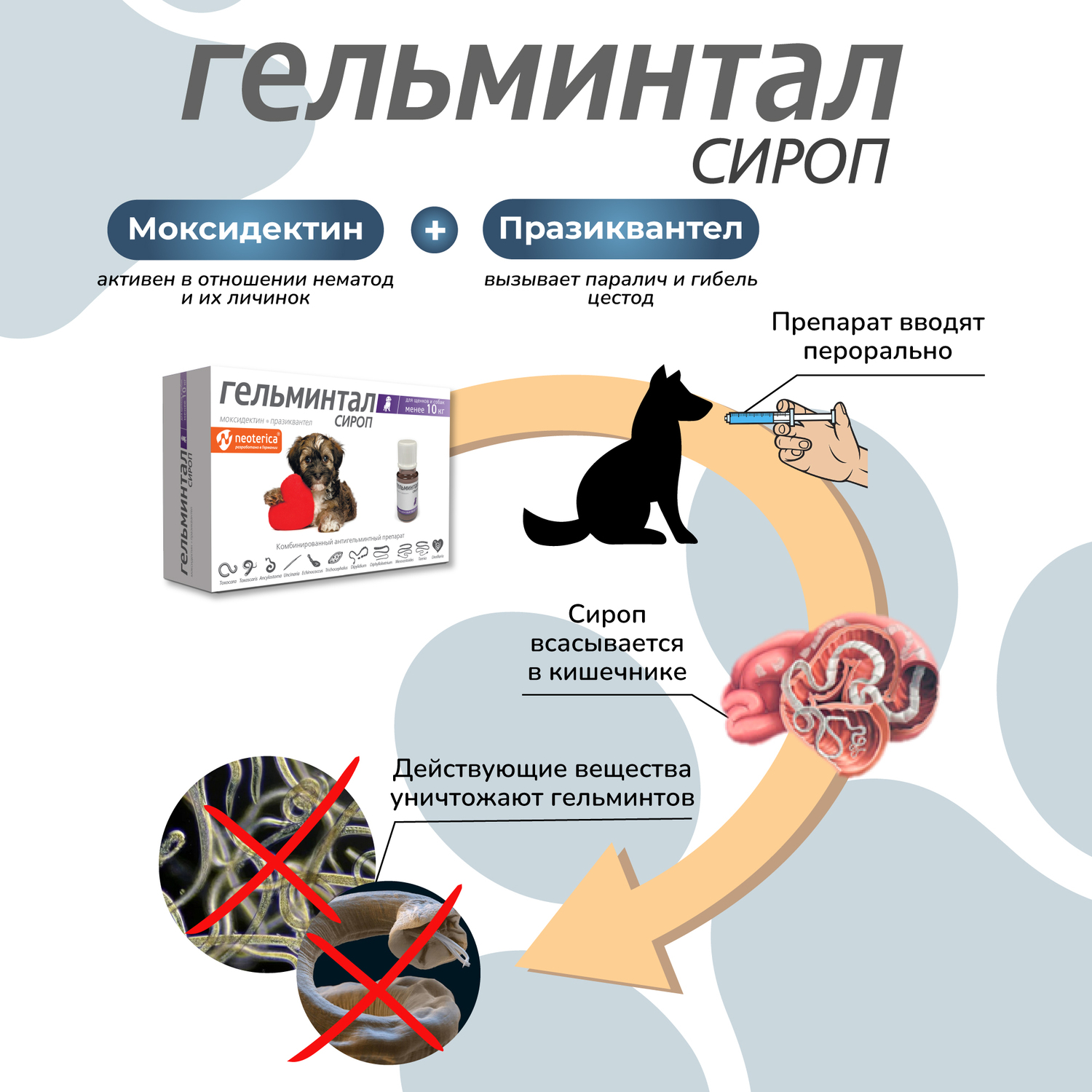 Сироп для щенков и собак Гельминтал до 10кг от внутренних паразитов 10мл - фото 6