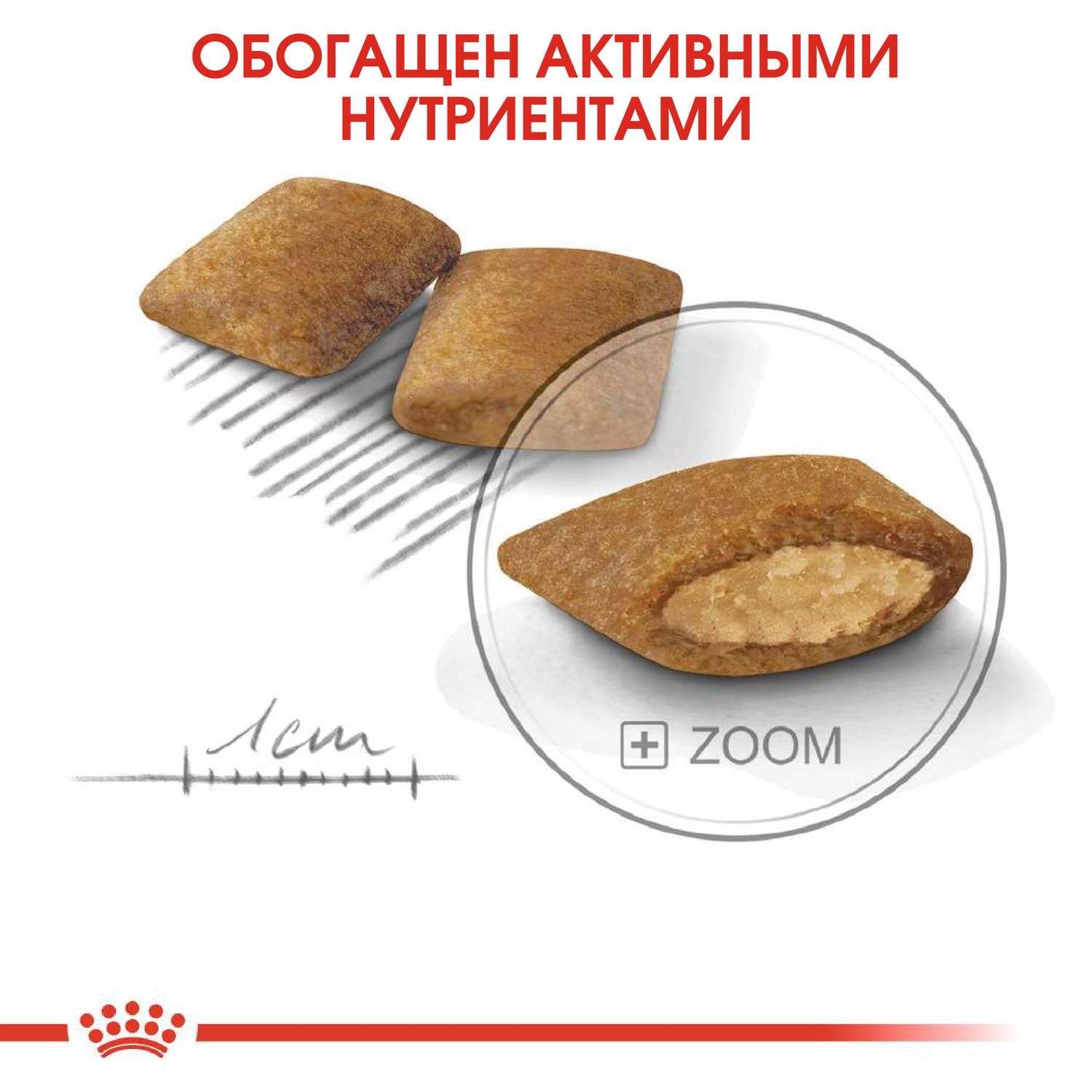 Корм для собак ROYAL CANIN Mini Exigent мелких пород привередливых в питании 3кг - фото 4