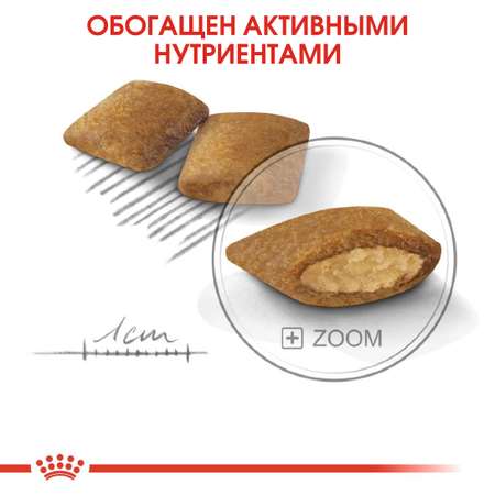 Сухой корм для собак ROYAL CANIN Exigent 3 кг (для привередливых, полнорационный)