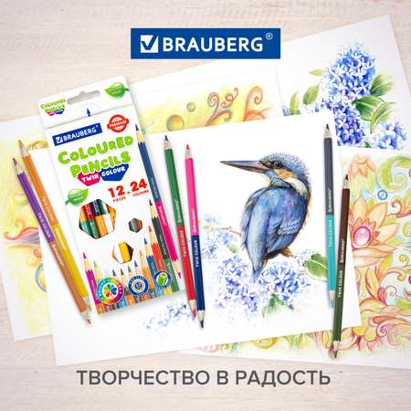 Карандаши цветные Brauberg для рисования набор 24 цвета деревянные мягкие