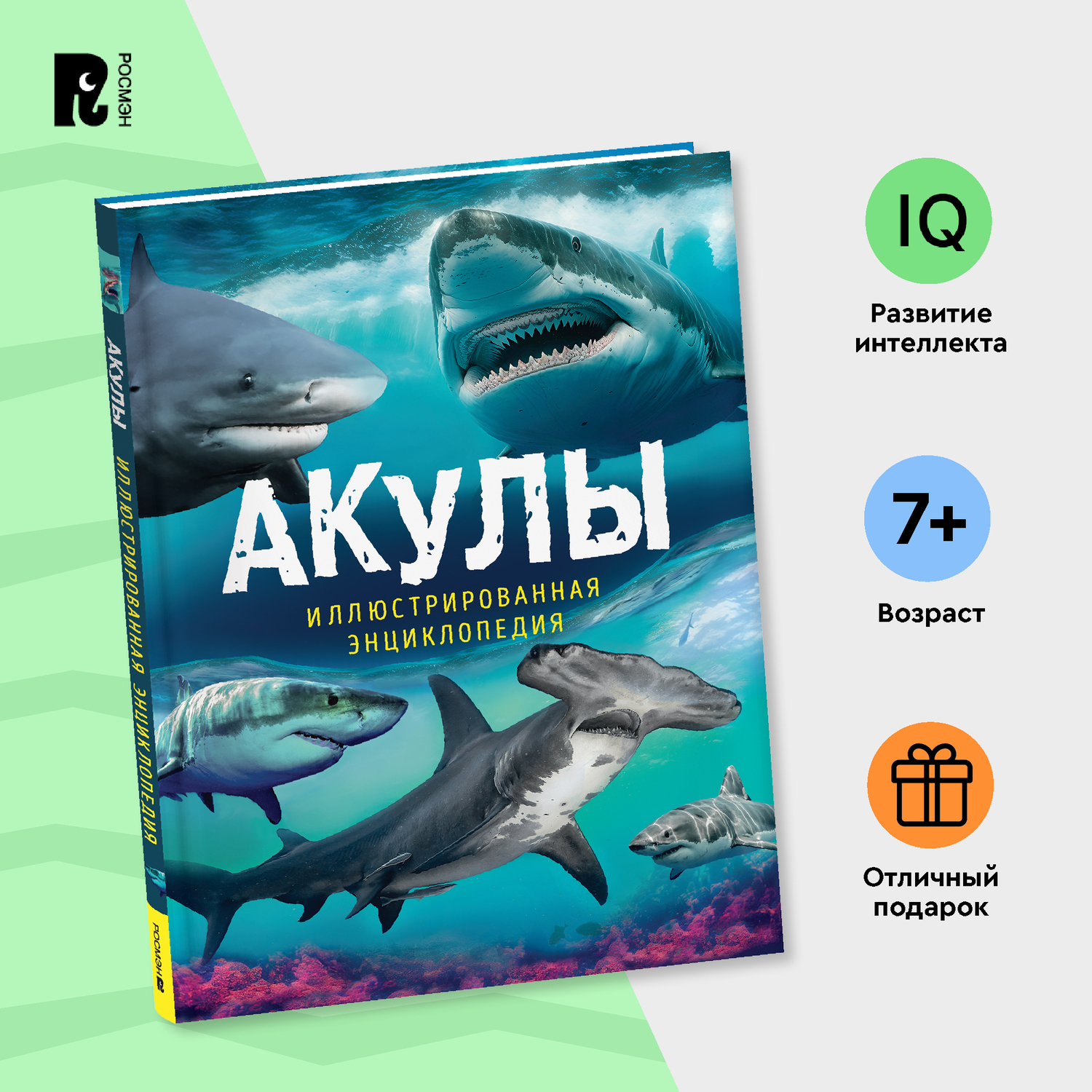 Книга Акулы Иллюстрированная энциклопедия - фото 8