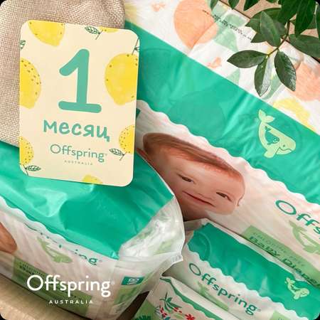 Подгузники Offspring 48 шт. NB 2-4 кг, 3-6 кг