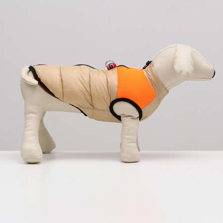Куртка для собак Sima-Land размер 14 бежевая с оранжевым