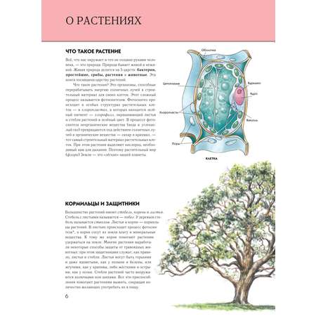 Энциклопедия ЭКСМО-ПРЕСС Растения Полная энциклопедия