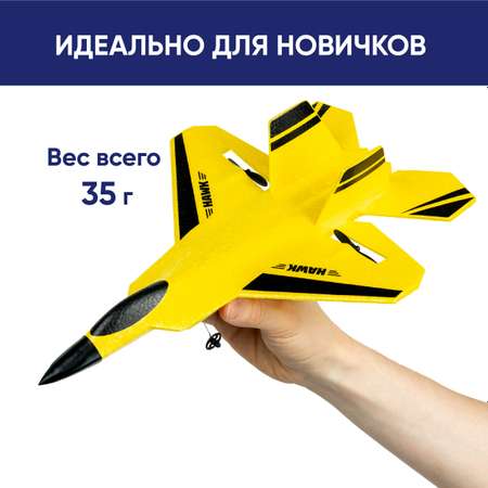 Самолет радиоуправляемый NEWJEL Hawk