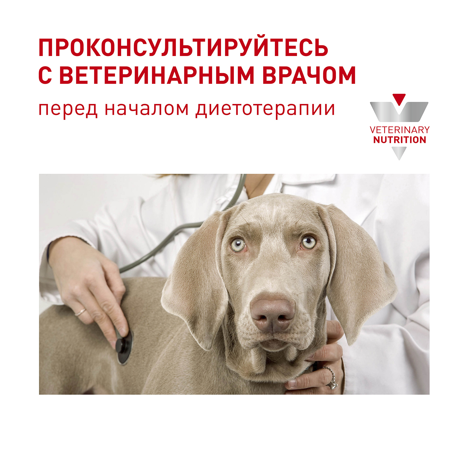 Сухой корм для собак ROYAL CANIN 0.8 кг мясо (для стерилизованных и кастрированных, полнорационный) - фото 7