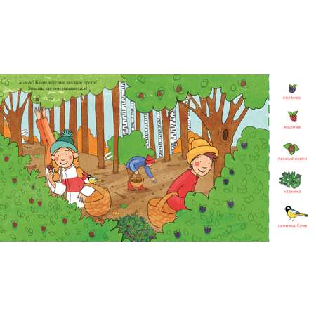 Книга Clever Издательство Найди и покажи малыш. В лесу
