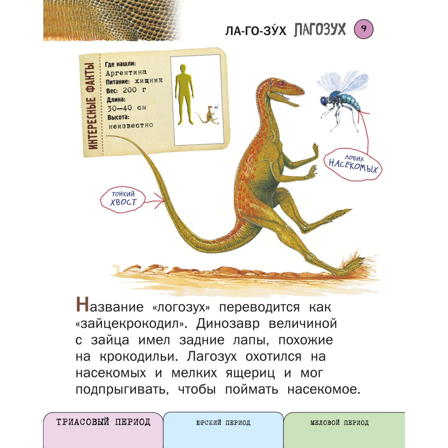 Книга Эксмо Все хищные динозавры с крупными буквами - фото 6