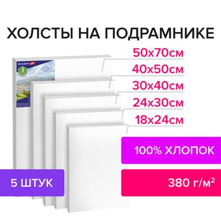 Холст на подрамике Brauberg для рисования набор 5 штук