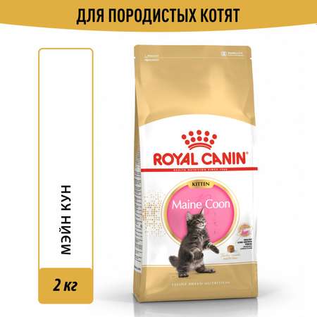 Корм сухой для котят ROYAL CANIN Maine Coon 2кг породы мейн-кун