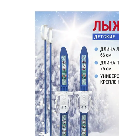 Лыжи Novasport Лыжный комплект детский NovaSport Bear с палками в сетке (66/75)