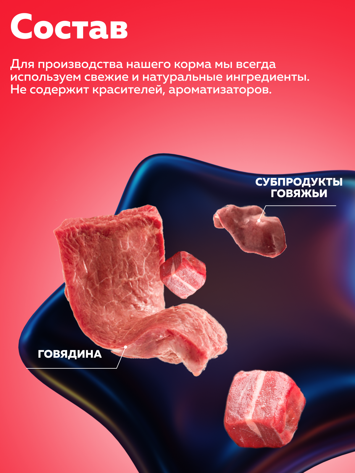 Корм влажный Зоогурман Мясное ассорти Говядина отборная 100г х 24шт - фото 4