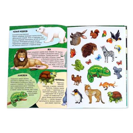 Активити Буква-ленд с наклейками и растущими игрушками «Мир животных»12 стр