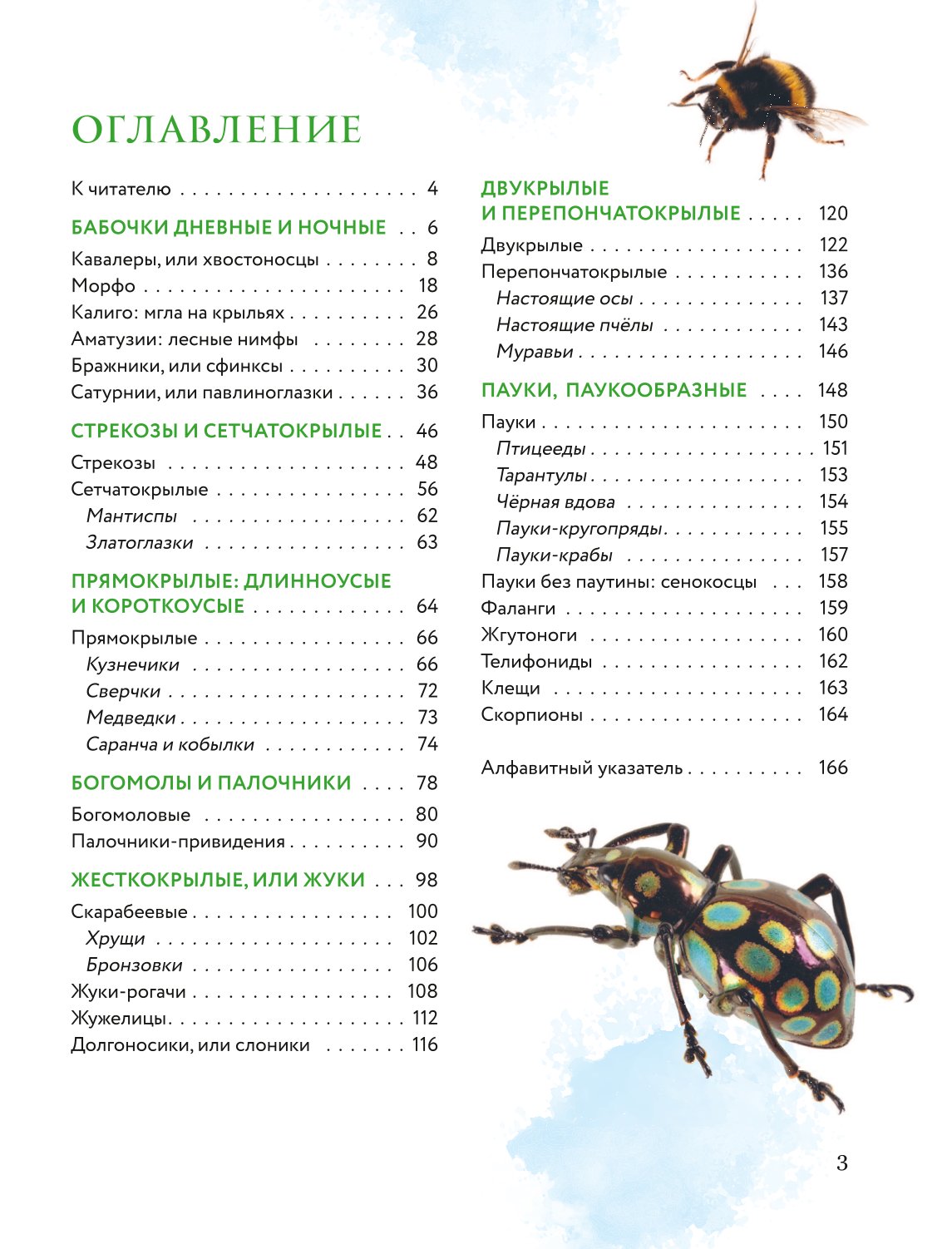 Книга Эксмо Насекомые мира Детская энциклопедия - фото 2