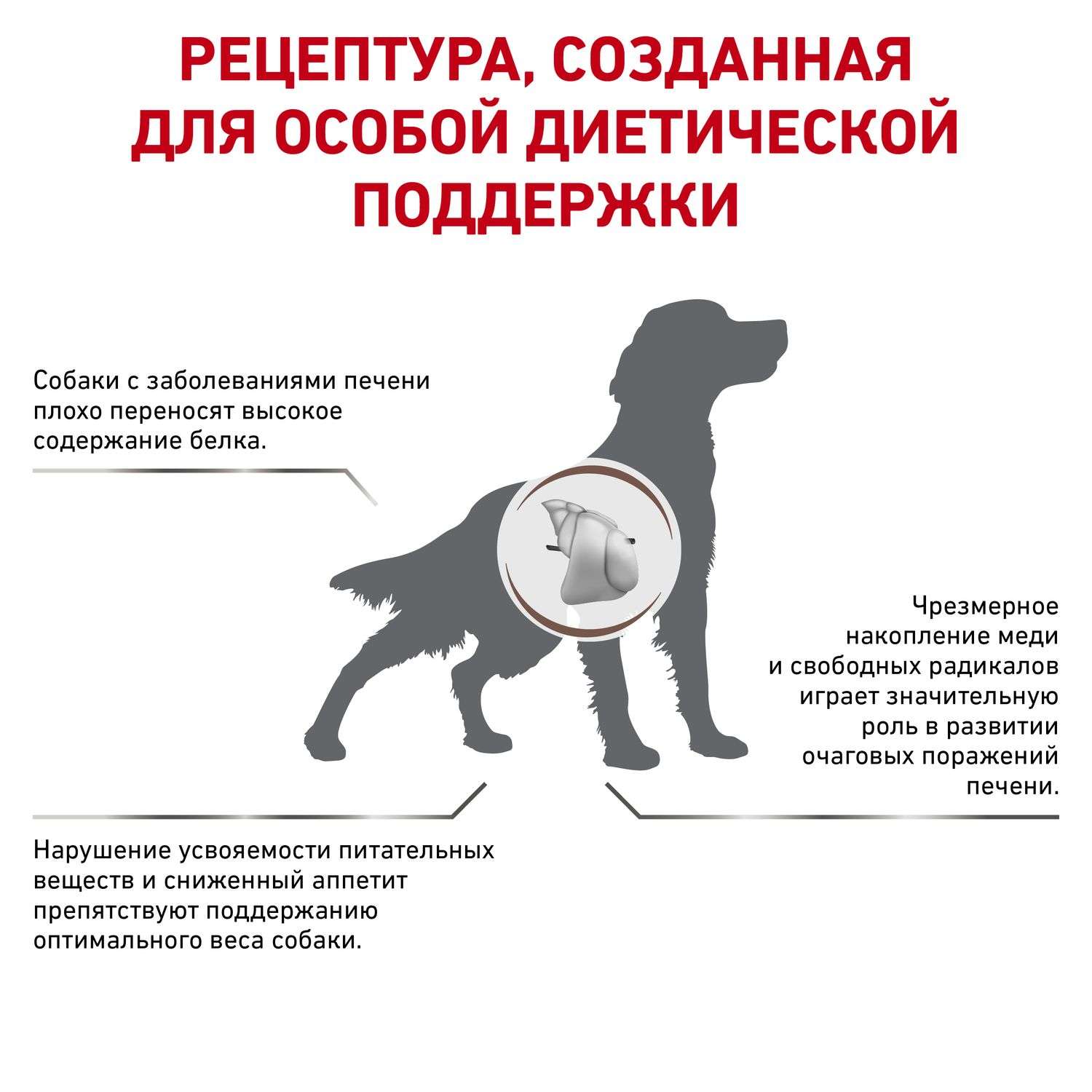 Корм для собак ROYAL CANIN Hepatic HF16 при заболеваниях печени 6кг - фото 3