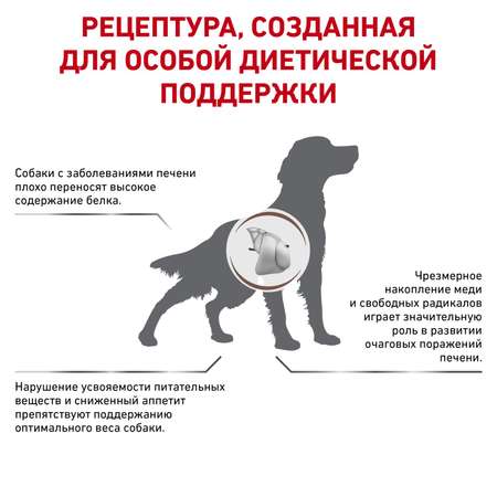 Сухой корм для собак ROYAL CANIN Hepatic 6 кг (при заболеваниях печени, лечебный)