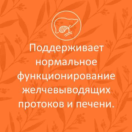 Сироп имбирный ФИТА-ВИТА-МИКС Премиум с куркумой и пиперином 290 мл