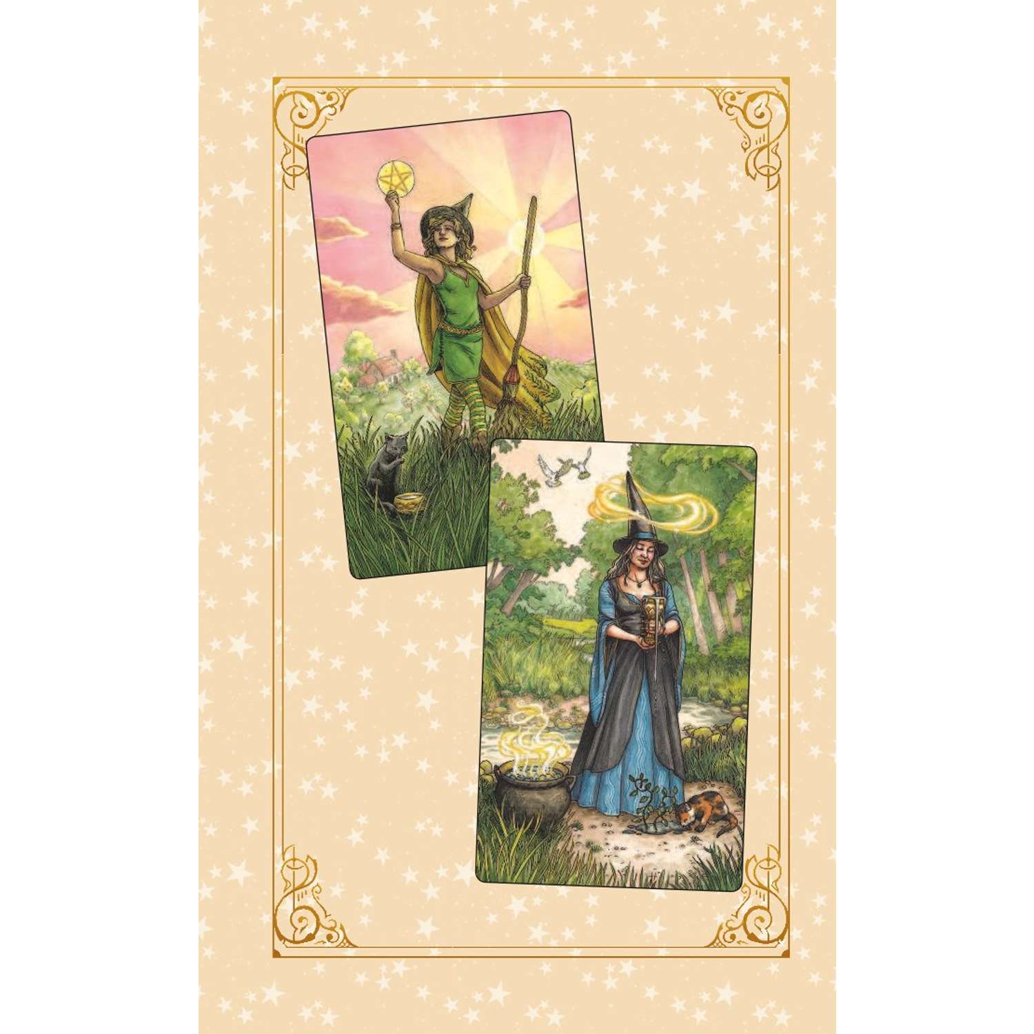 Таро ведьм. Карты everyday Witch Tarot. Дебора Блейк Таро ведьма. Карты Таро everyday Witch Tarot. Карты Таро Deborah Blake