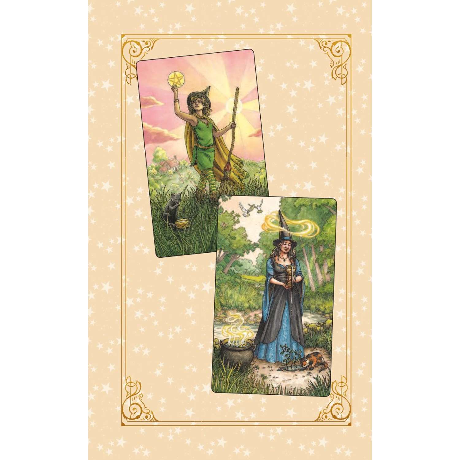 Таро ведьм. Карты everyday Witch Tarot. Дебора Блейк Таро ведьма. Карты Таро everyday Witch Tarot. Карты Таро Deborah Blake.