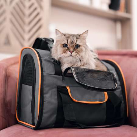 Рюкзак-переноска для животных Не один дома Orange 41*21*30см Темно-серый