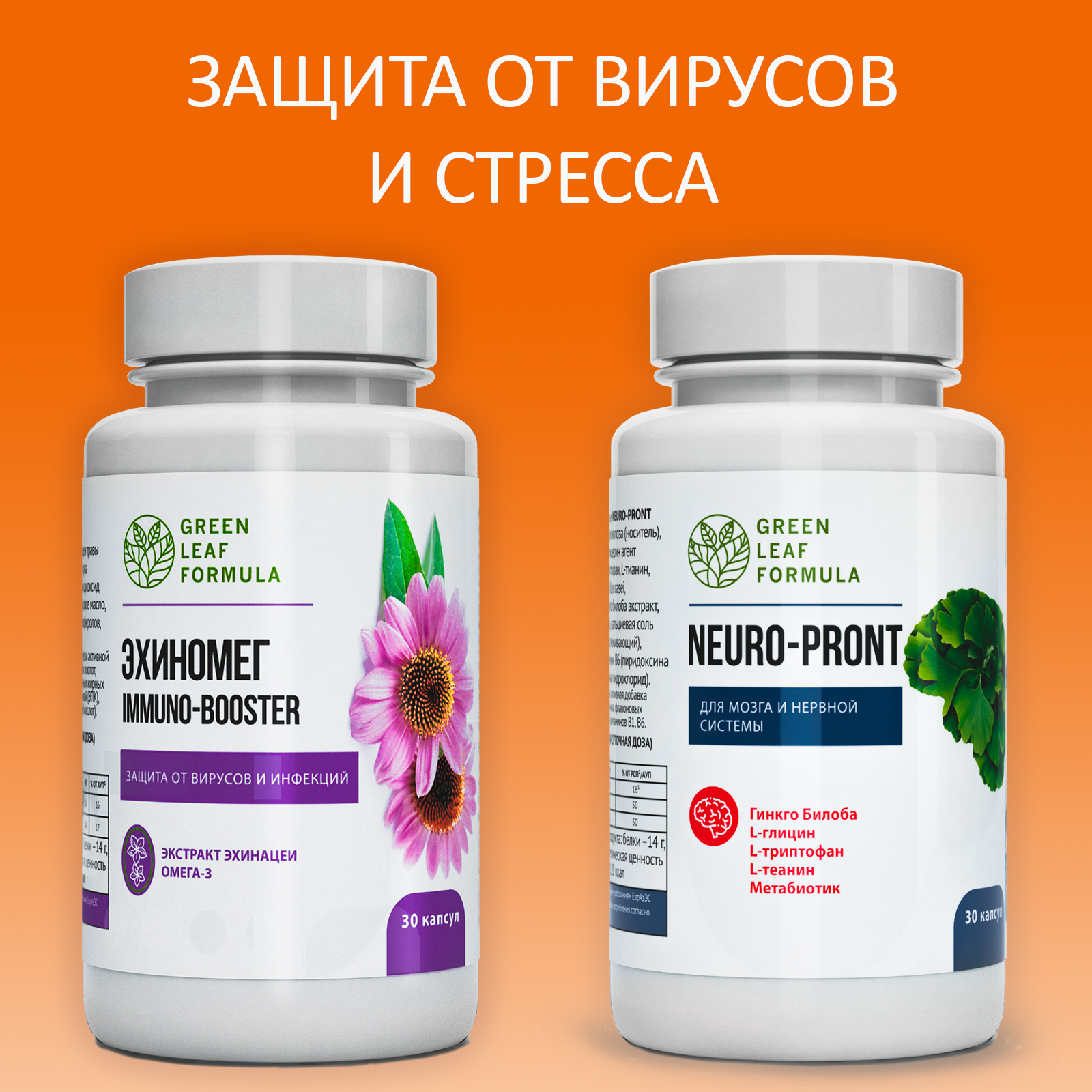 Витамины для иммунитета Green Leaf Formula для мозга для памяти триптофан эхинацея от простуды 60 капсул - фото 1