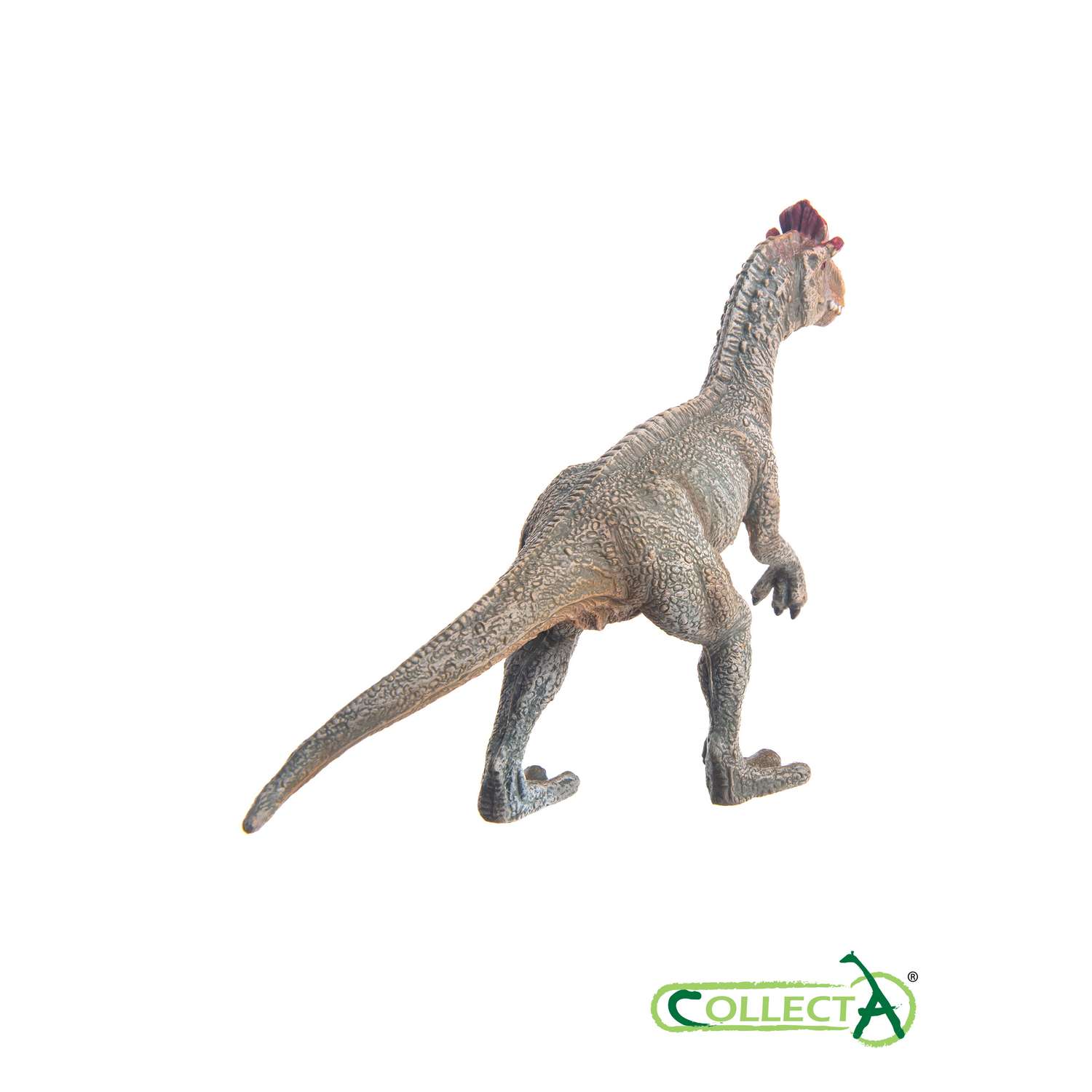 Фигурка динозавра Collecta Криолофозавр - фото 4