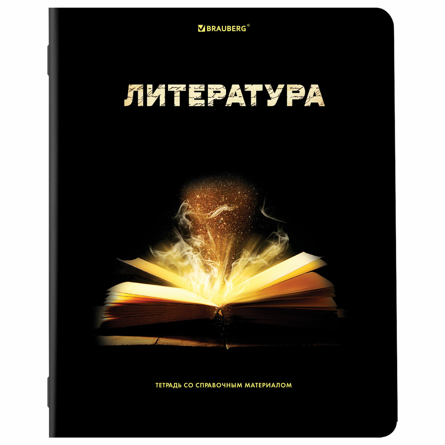 Тетради Brauberg школьные со справочным материалом в клетку/линейку 12 предметов 48 л Shade - фото 11