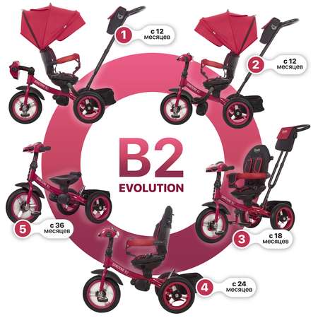 Трехколесный велосипед Nuovita Bamzione B2 пурпурный