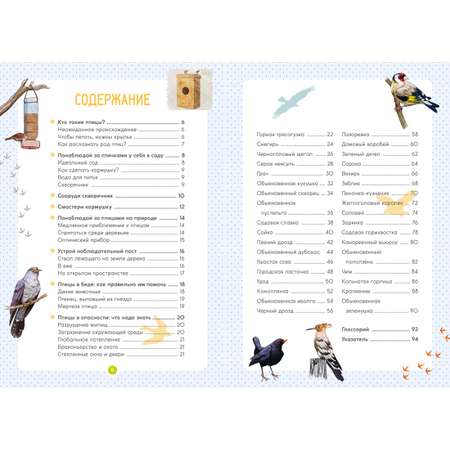 Книга Махаон Мишель Лучези. Птицы.