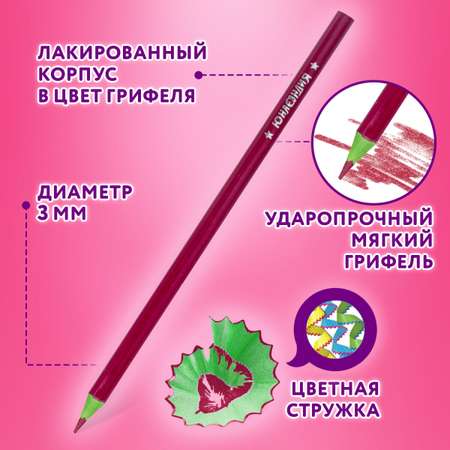 Карандаши цветные Юнландия 12 шт.