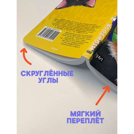 Блокнот Проф-Пресс карманный Скетчбук 80 листов MeowBook от MyArt Стильный меломан