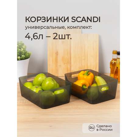 Комплект корзинок Econova SCANDI 4.6л - 2шт. черный прозрачный