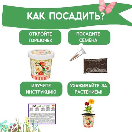 Набор для выращивания Rostok Visa Цветочная смесь