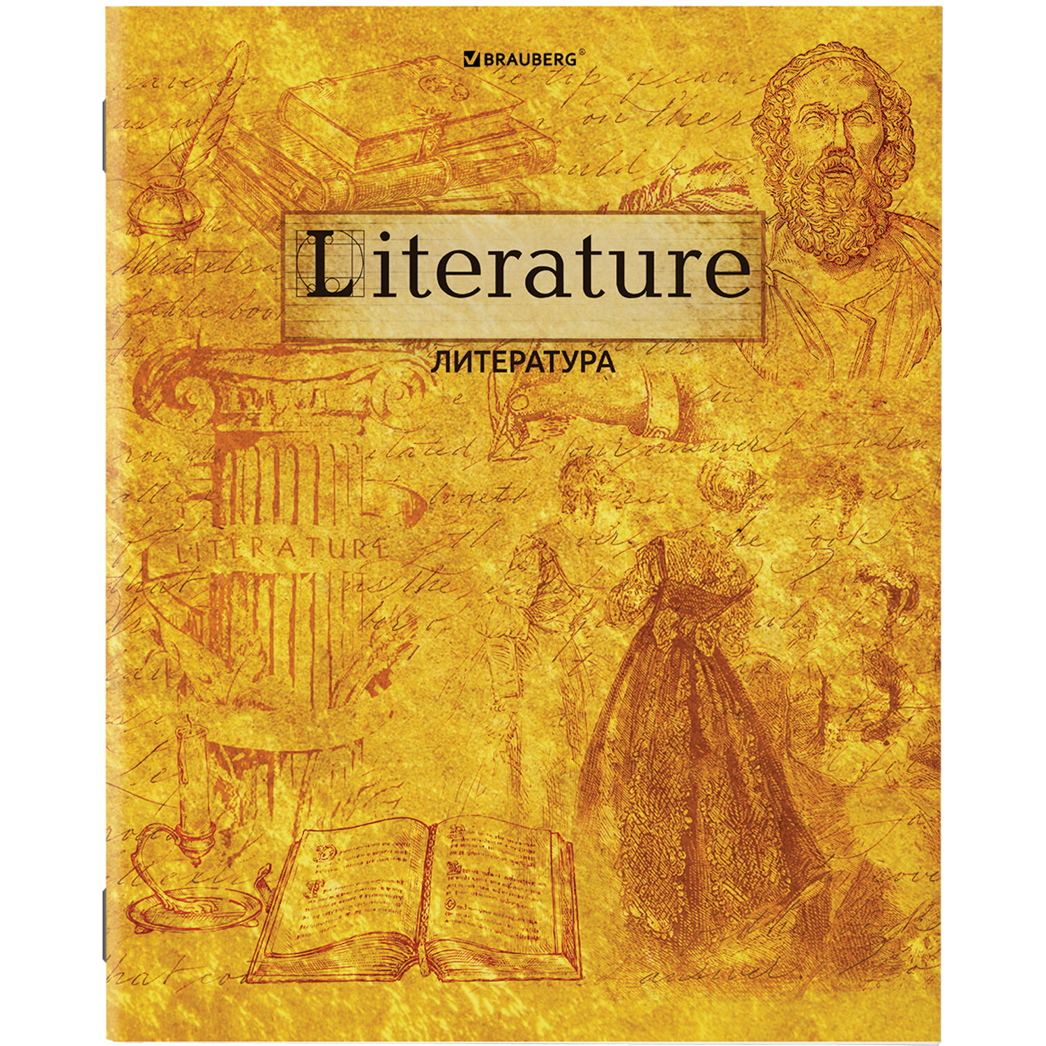 Тетради предметные Brauberg Gold со справочным материалом в клетку/линейку 10 шт 48 л - фото 16
