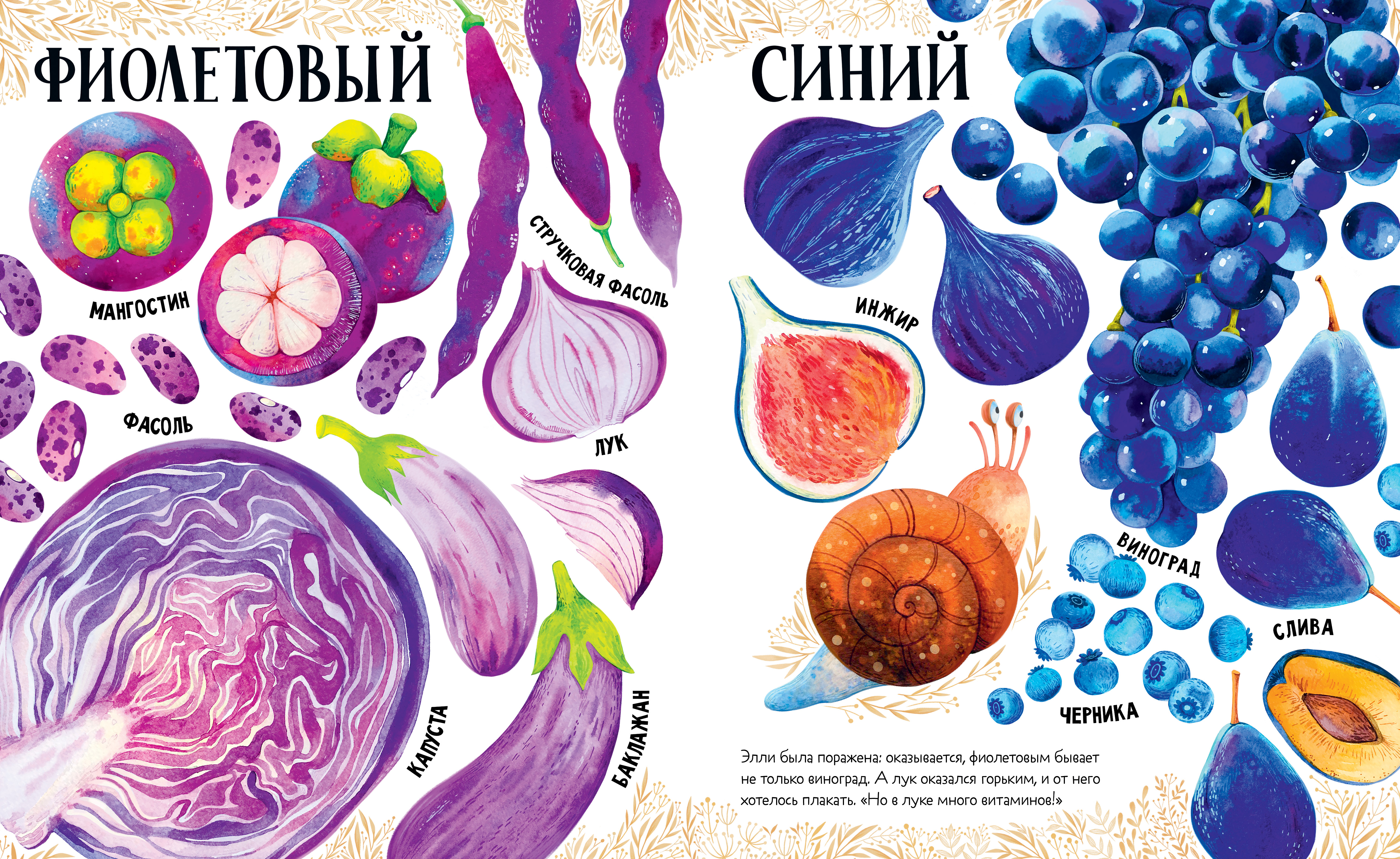 Первые книжки малыша Clever Приключения улитки Элли в мире фруктов и овощей (мягкая обложка) - фото 5