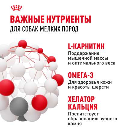 Корм для собак ROYAL CANIN мелких пород 800г