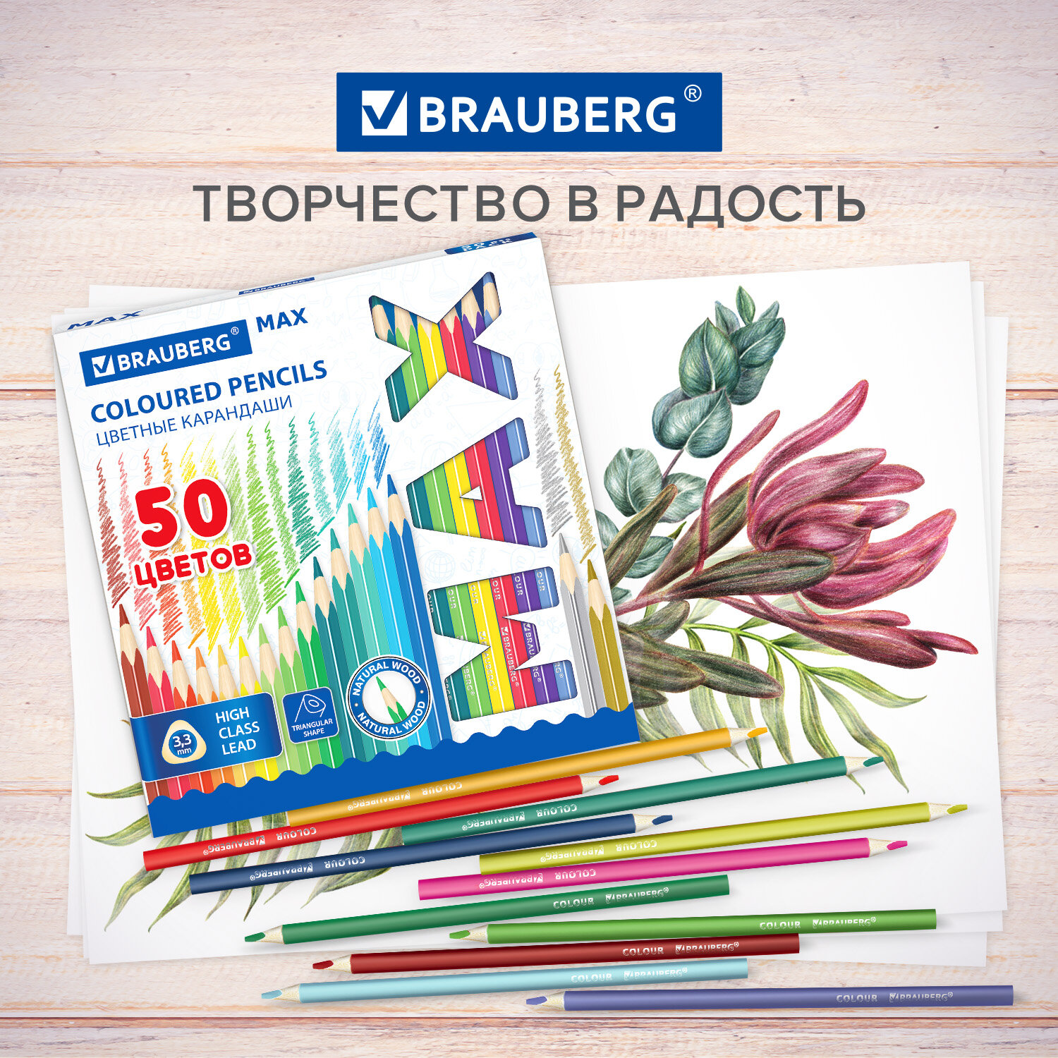 Карандаши цветные Brauberg деревянные для рисования мягкие яркие 50 цветов - фото 6