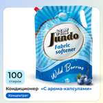 Кондиционер-ополаскиватель Jundo Wild berries для белья 2л концентрированный 100 стирок